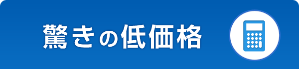 驚きの低価格